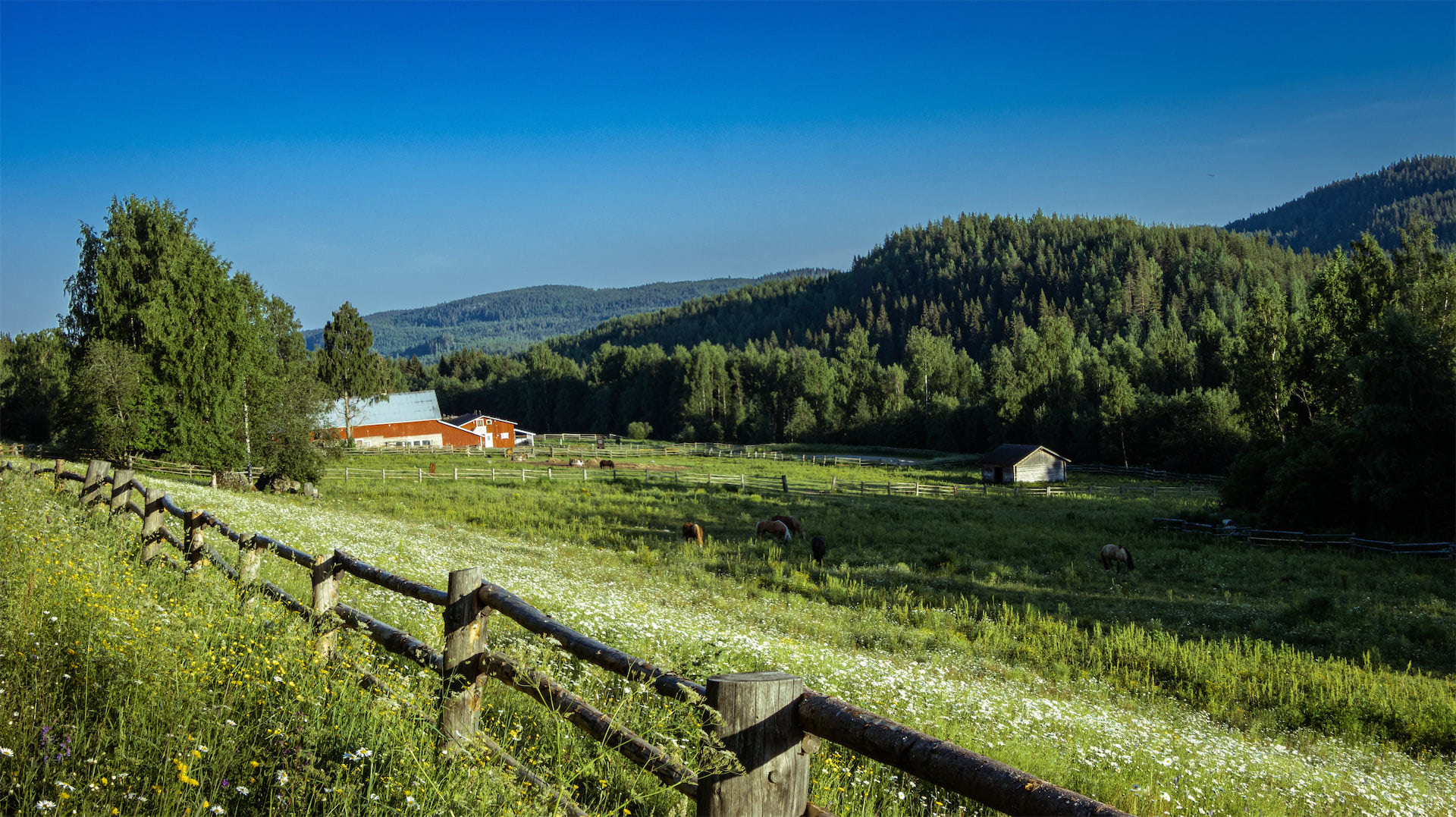 field fence